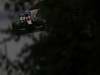 GP CANADA, 09.06.2012- Qualifiche, Heikki Kovalainen (FIN) Caterham F1 Team CT01  