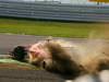 GP GIAPPONE, 07.10.2012- Gara, Crash, Fernando Alonso (ESP) Ferrari F2012