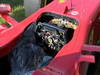 GP GIAPPONE, 07.10.2012- Gara, Crash, Fernando Alonso (ESP) Ferrari F2012