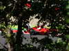 GP GIAPPONE, 05.10.2012- Free Practice 1, Fernando Alonso (ESP) Ferrari F2012 
