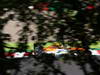 GP GIAPPONE, 05.10.2012- Free Practice 1, Nico Hulkenberg (GER) Sahara Force India F1 Team VJM05 