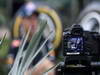 GP INDIA, 25.10.2012- Sebastian Vettel (GER) Red Bull Racing RB8 
