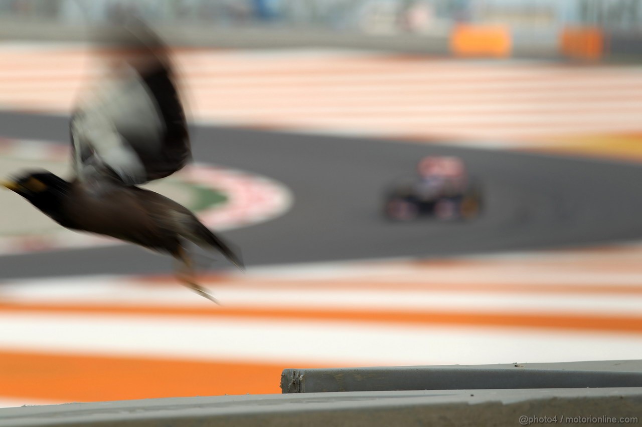 GP INDIA, 26.10.2012- Prove Libere 2, Jean-Eric Vergne (FRA) Scuderia Toro Rosso STR7 