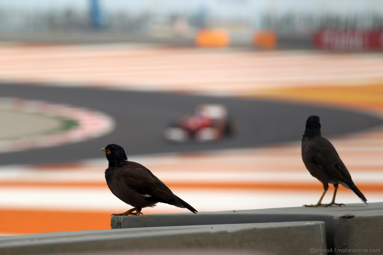 GP INDIA, 26.10.2012- Prove Libere 2, Fernando Alonso (ESP) Ferrari F2012 