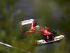 GP UNGHERIA, 28.07.2012- Free Practice 3, Fernando Alonso (ESP) Ferrari F2012 