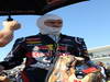 GP USA, 18.11.2012 - Gara, Sebastian Vettel (GER) Red Bull Racing RB8