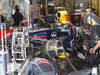 GP USA, 16.11.2012 - Free practice 2, Sebastian Vettel (GER) Red Bull Racing RB8