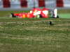 BARCELONA TEST MARZO 2013, Felipe Massa (BRA) Ferrari F138 passes a bird in the grass.
02.03.2013. 