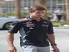 GP ABU DHABI, 03.11.2013- Antonio Felix da Costa (POR) Red Bull Racing Test Driver.