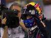 GP ABU DHABI, 02.11.2013- Qualifiche: Mark Webber (AUS) Red Bull Racing RB9 (pole position)
