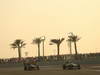 GP ABU DHABI, 02.11.2013- Qualifiche: Giedo Van der Garde (NED), Caterham F1 Team CT03 