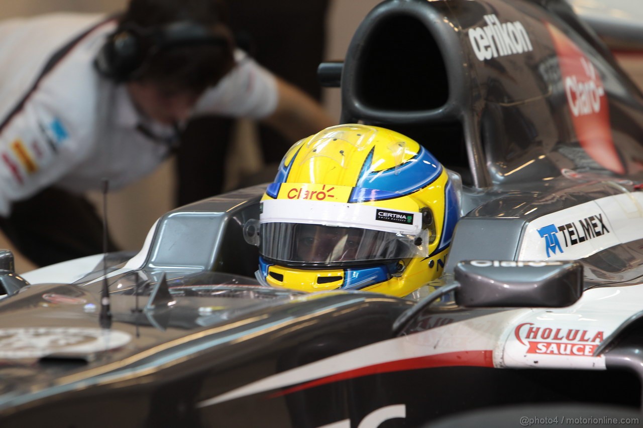 GP ABU DHABI, 01.11.2013- Prove Libere 2: Esteban Gutierrez (MEX), Sauber F1 Team C32 