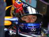 GP ABU DHABI, 01.11.2013- Free Practice 1, Mark Webber (AUS) Red Bull Racing RB9