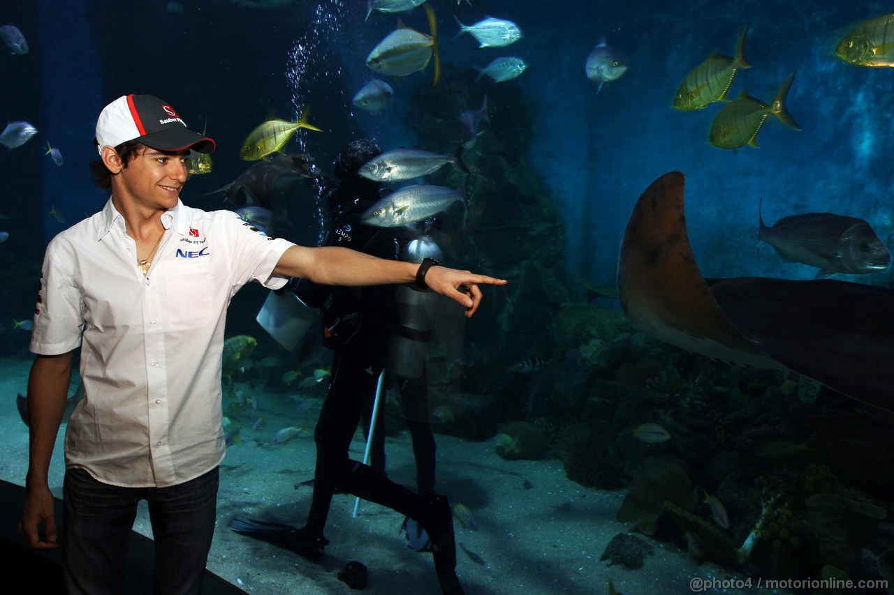 GP AUSTRALIA, 13.03.2013- Esteban Gutierrez (MEX) Sauber at Melbourne Aquarium.
