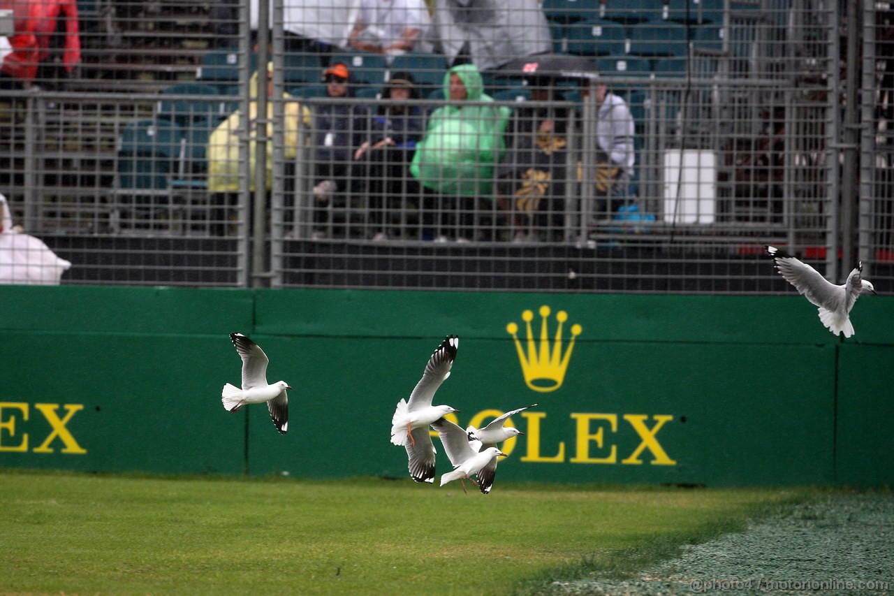 GP AUSTRALIA, 16.03.2013- Qualifiche, Atmosphere