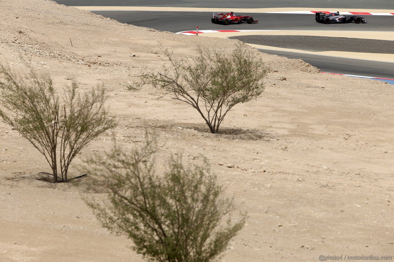 GP BAHRAIN, 19.04.2013- Prove Libere 1, Fernando Alonso (ESP) Ferrari F138 e Esteban Gutierrez (MEX), Sauber F1 Team C32 