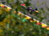 GP BELGIO, 23.08.2013- Free Practice 2, Sebastian Vettel (GER) Red Bull Racing RB9 