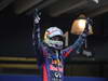 GP BRASILE, 24.11.2013 - Gara, Sebastian Vettel (GER) Red Bull Racing RB9 celebrates his victory