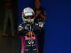 GP BRASILE, 24.11.2013 - Gara, Sebastian Vettel (GER) Red Bull Racing RB9 vincitore 