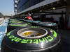 GP BRASILE, 21.11.2013- Pirelli Tyres e OZ Wheels
