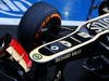 GP BRASILE, 23.11.2013- Lotus F1 Team E21