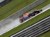 GP BRASILE, 23.11.2013- Free Practice 3, Sebastian Vettel (GER) Red Bull Racing RB9 