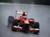GP BRASILE, 23.11.2013- Free Practice 3, Felipe Massa (BRA) Ferrari F138 
