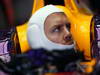 GP BRASILE, 23.11.2013- Free Practice 3, Sebastian Vettel (GER) Red Bull Racing RB9