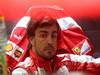 GP BRASILE, 23.11.2013- Free Practice 3, Fernando Alonso (ESP) Ferrari F138 