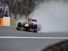 GP BRASILE, 23.11.2013- Qualifiche, Mark Webber (AUS) Red Bull Racing RB9 