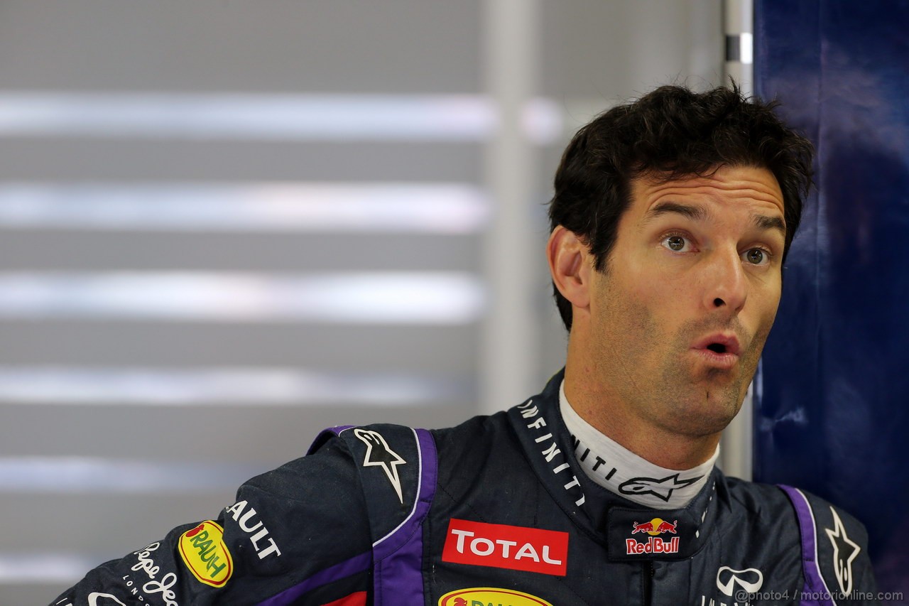 GP BRASILE, 22.11.2013- Prove Libere 1, Mark Webber (AUS) Red Bull Racing RB9
