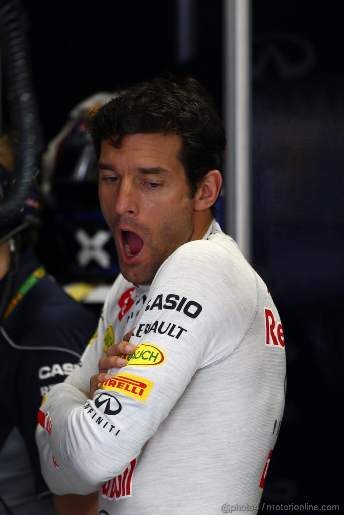 GP BRASILE, 22.11.2013- Prove Libere 2, Mark Webber (AUS) Red Bull Racing RB9 