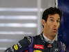 GP BRASILE, 22.11.2013- Free Practice 1, Mark Webber (AUS) Red Bull Racing RB9