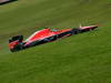 GP BRASILE, 22.11.2013- Free Practice 1, Rodolfo Gonzalez (VEN) Test Driver Marussia F1 Team MR02 