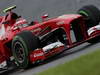 GP BRASILE, 22.11.2013- Free Practice 1, Felipe Massa (BRA) Ferrari F138 