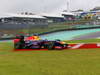 GP BRASILE, 22.11.2013- Free Practice 1, Sebastian Vettel (GER) Red Bull Racing RB9 off track