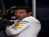 GP BRASILE, 22.11.2013- Free Practice 2, Mark Webber (AUS) Red Bull Racing RB9 