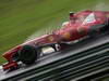 GP BRASILE, 22.11.2013- Free Practice 2, Fernando Alonso (ESP) Ferrari F138 