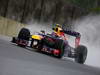 GP BRASILE, 22.11.2013- Free Practice 2, Mark Webber (AUS) Red Bull Racing RB9 