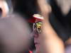 GP COREA, 03.10.2013- Kimi Raikkonen (FIN) Lotus F1 Team E21 
