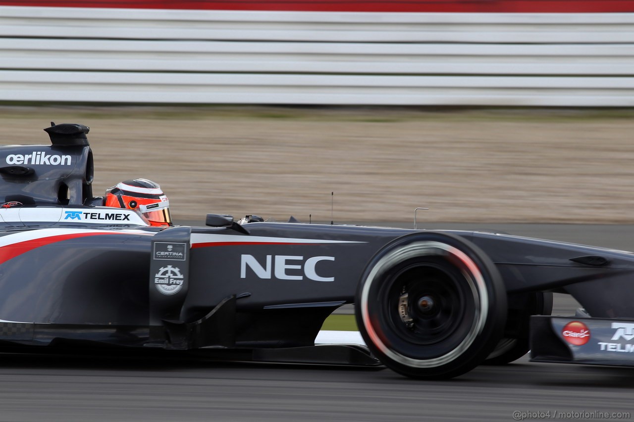 GP GERMANIA, 06.07.2013- Prove Libere 3, Nico Hulkenberg (GER) Sauber F1 Team C32 