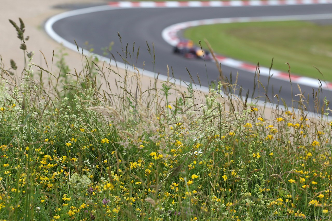 GP GERMANIA, 05.07.2013- Prove Libere 1, Mark Webber (AUS) Red Bull Racing RB9 