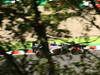 GP GIAPPONE, 11.10.2013- Free Practice 1, Esteban Gutierrez (MEX), Sauber F1 Team C32 