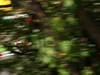 GP GIAPPONE, 11.10.2013- Free Practice 1, Fernando Alonso (ESP) Ferrari F138 