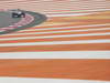 GP INDIA, 25.10.2013- Free Practice 1: Adrian Sutil (GER), Sahara Force India F1 Team VJM06 