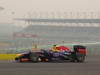 GP INDIA, 25.10.2013- Free Practice 2: Mark Webber (AUS) Red Bull Racing RB9 