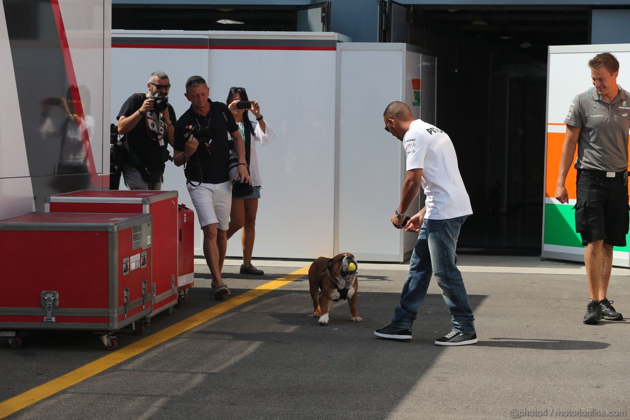 GP ITALIA, Lewis Hamilton (GBR) Mercedes AMG F1 W04 e his dog Roscoe