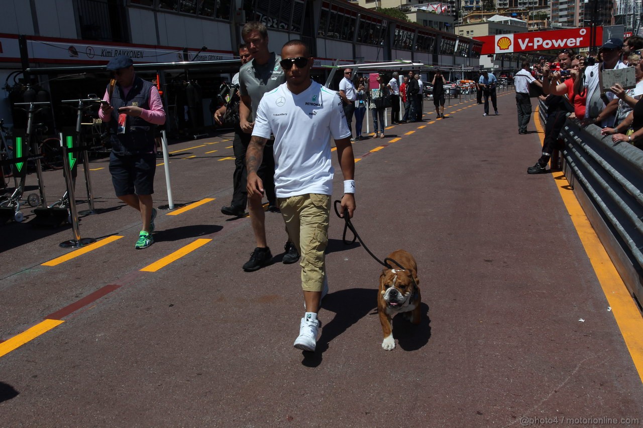 GP MONACO, 22.05.2013- Lewis Hamilton (GBR) Mercedes AMG F1 W04 e his dog, Roscoe