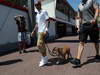 GP MONACO, 22.05.2013- Lewis Hamilton (GBR) Mercedes AMG F1 W04 e his dog, Roscoe