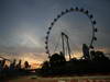 GP SINGAPORE, 21.09.2013- Free practice 3, Daniel Ricciardo (AUS) Scuderia Toro Rosso STR8